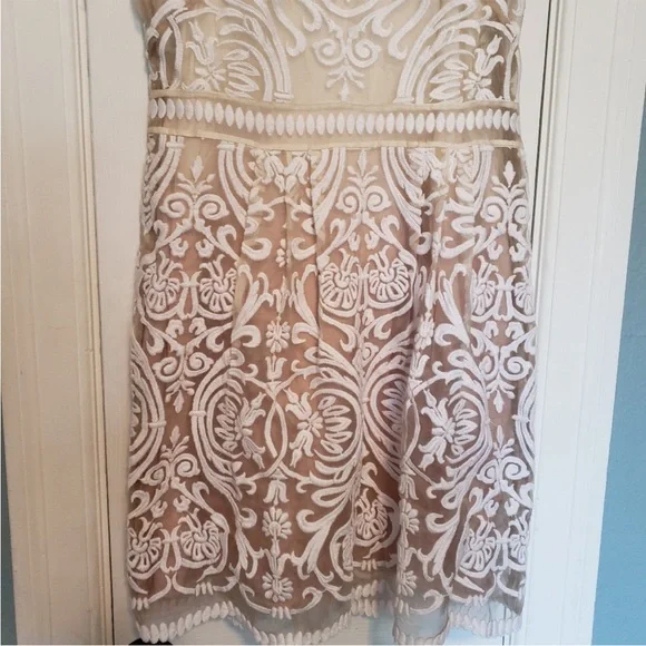 Elegant Cream Lace Dress - Picture 10 of 10